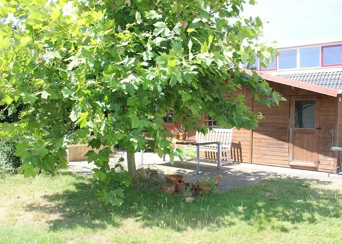 Bluesheep-texel Bed and Breakfast De Koog 